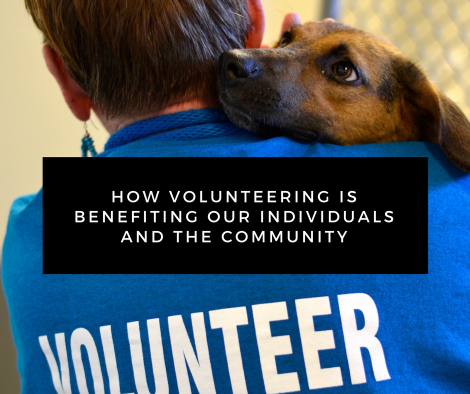 SPCA Volunteer